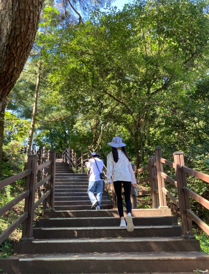 영월여행