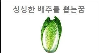 싱싱한 배추를 뽑는꿈