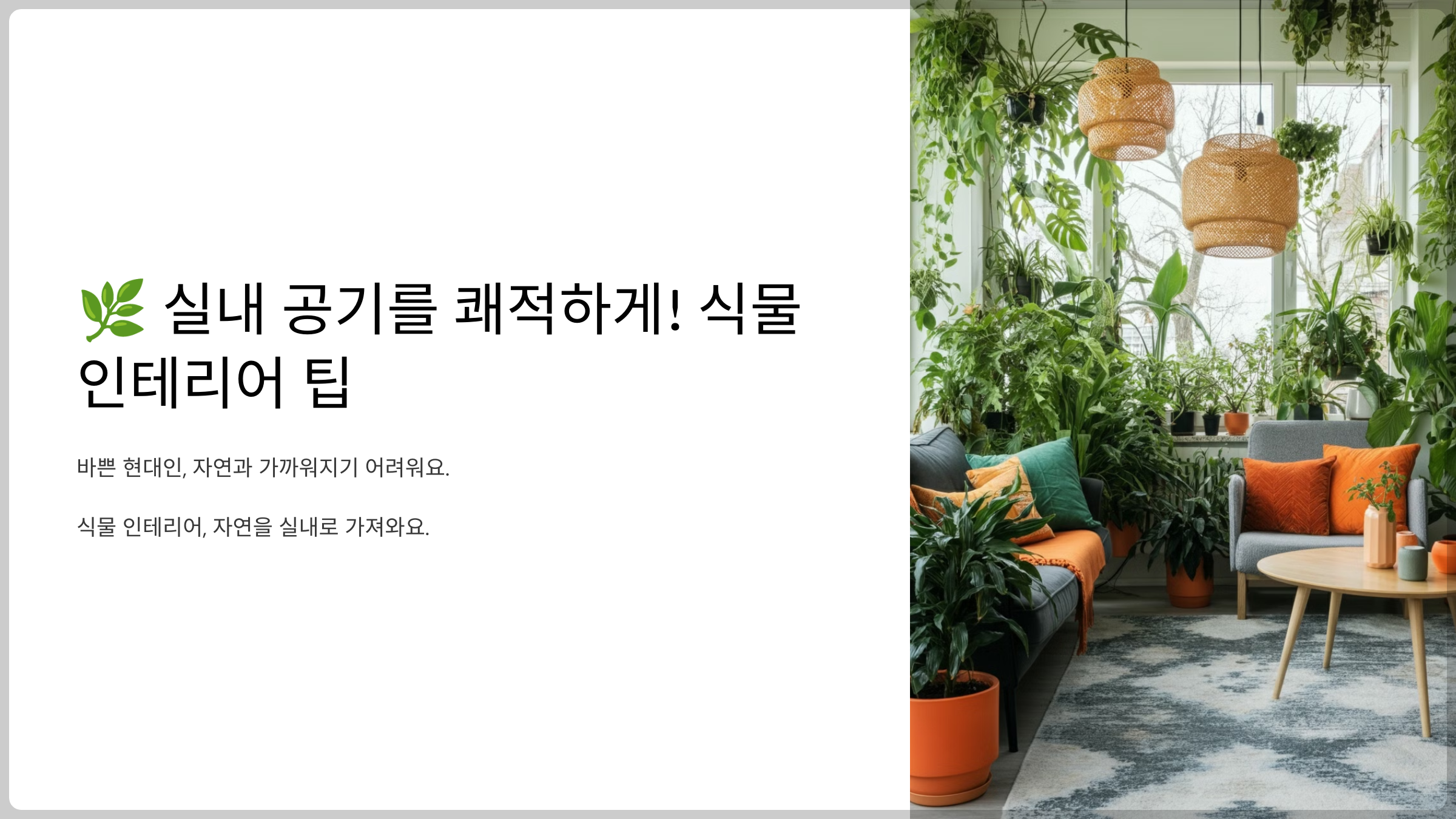 실내 공기를 쾌적하게! 식물 인테리어 팁