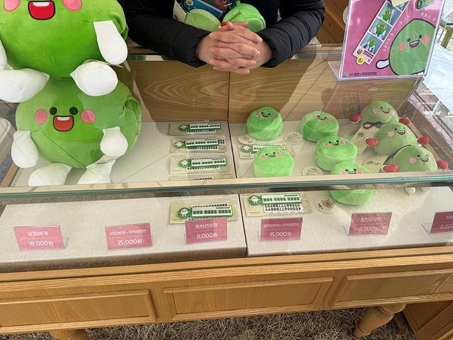 광양 매화축제 개화상황 실시간