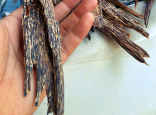 침향,침향효능,침향가루,침향환,침향분말,침향나무