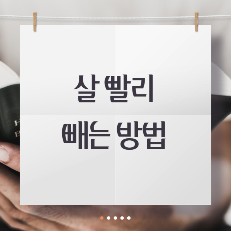 살 빨리 빼는 방법