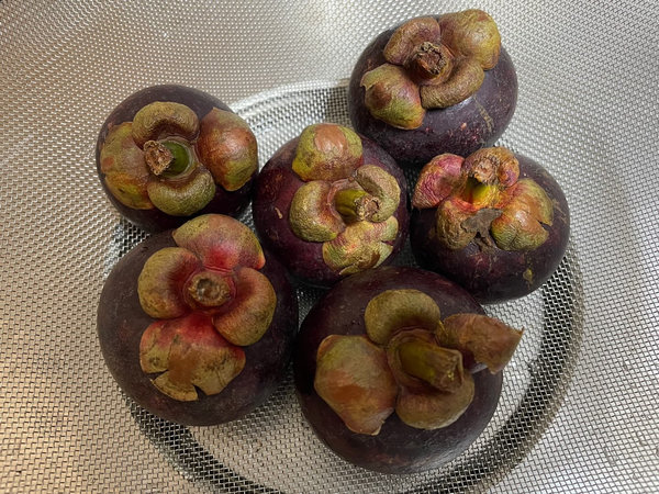 망고스틴 채반에 담기