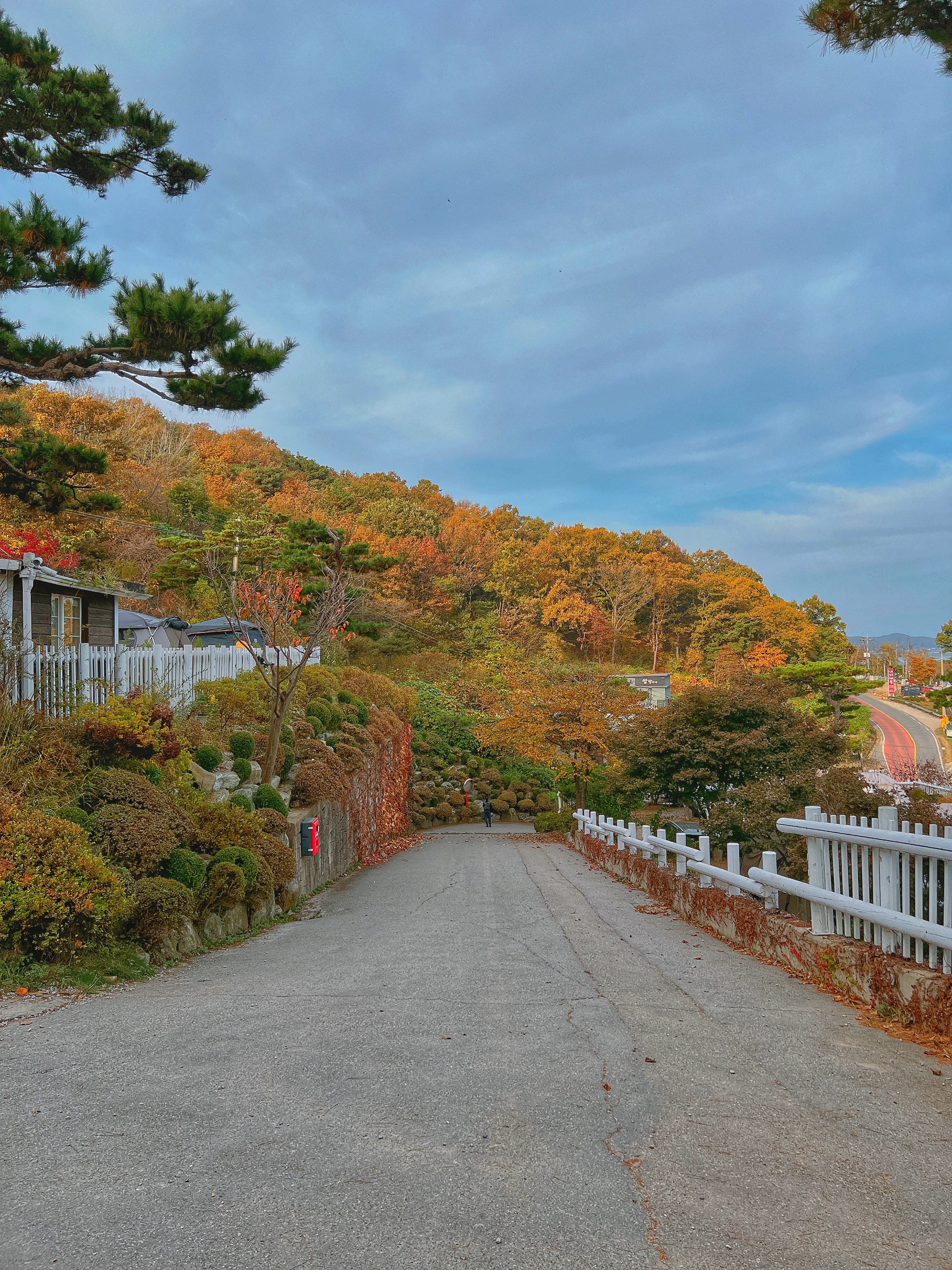 씨사이드힐캠핑장