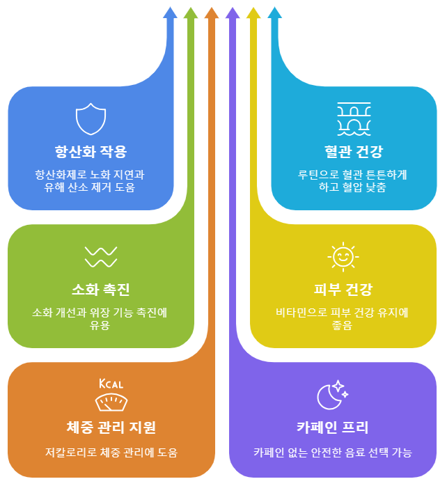 메밀차 효능
