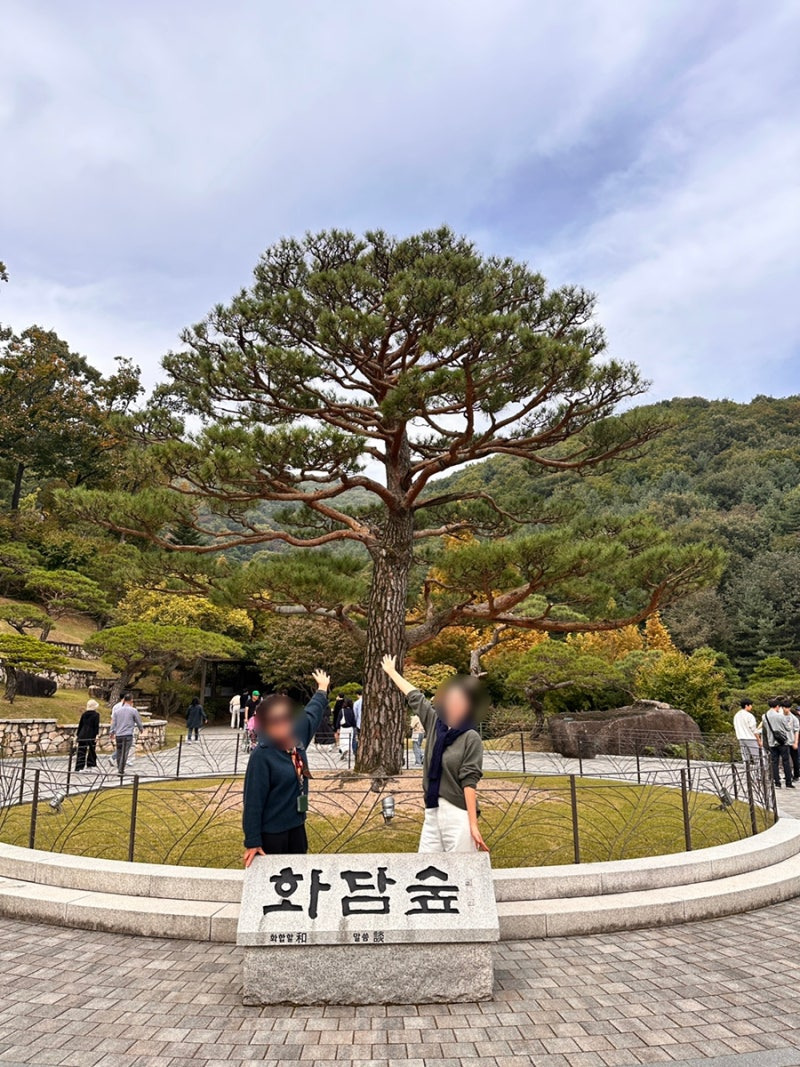 🌿 용인&middot;광주 여행코스 함께 돌기｜화담숲 + 주변 핫플