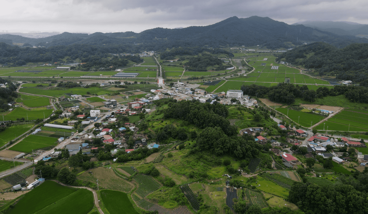 증