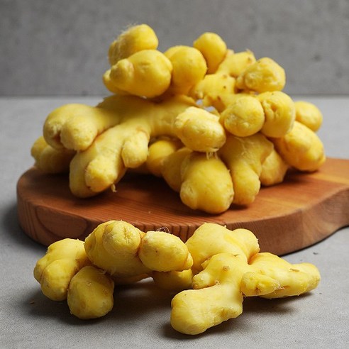 6시내고향 경북 영주 생강 파는 곳 전국 택배 온라인 전화 주문 추천