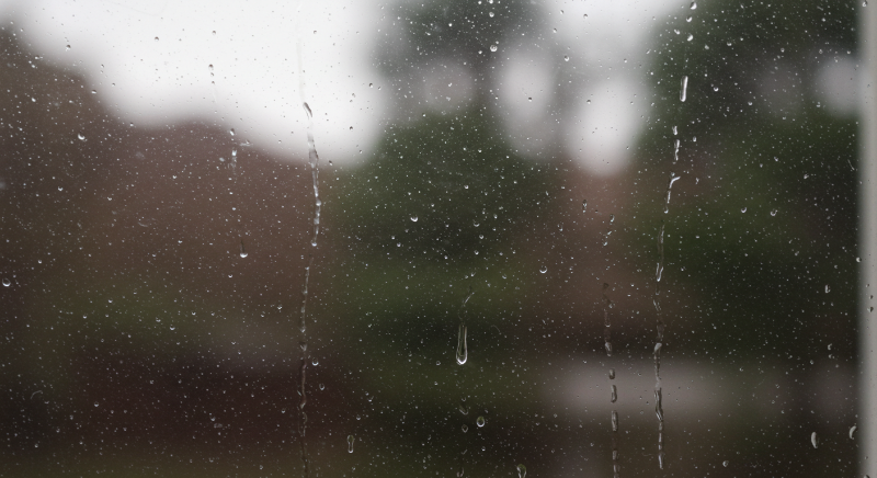 빗물 속 미네랄 성분이 하얀 물때나 얼룩을 만듭니다.