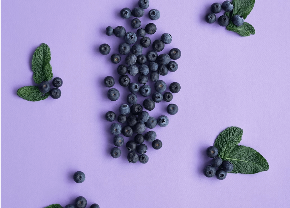 블루베리의 효능과 블루베리를 꼭 먹어야 하는 이유