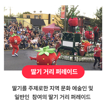 논산딸기축제 주차장