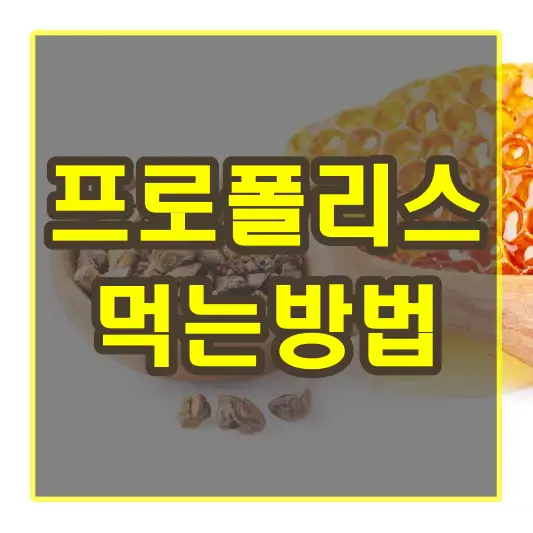 프로폴리스 먹는방법