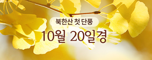 서울단풍길 96선