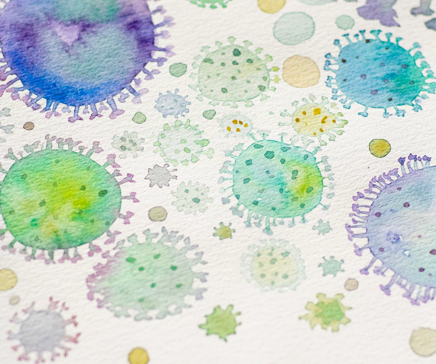 한타바이러스 증상