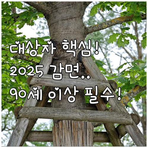 기초생활수급자 보훈대상자 90세 이상..
