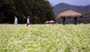 평창 효석문화제 자연과 예술의 만남