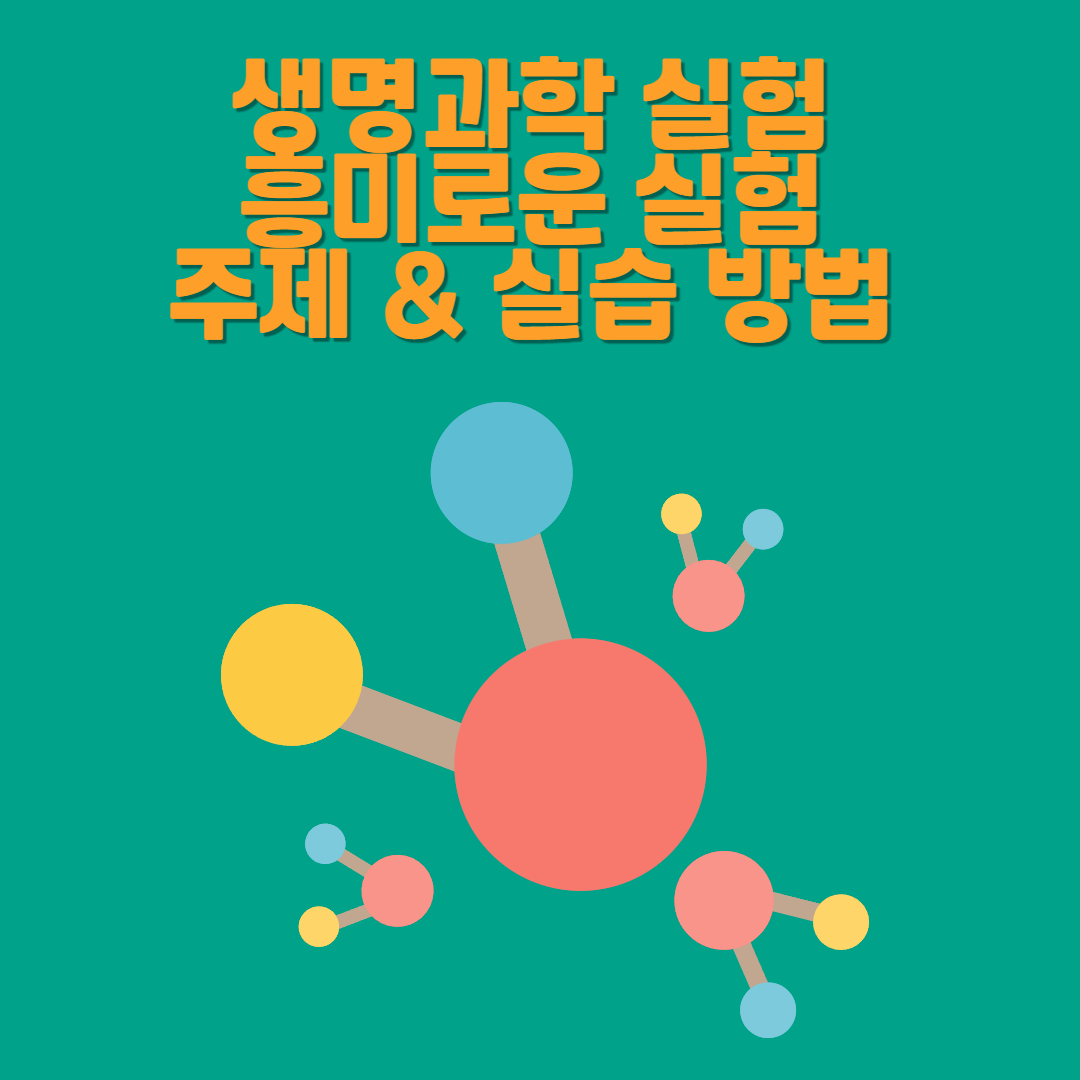 생명과학 실험 추천 – 광합성, DNA 추출, 미생물 배양 실험