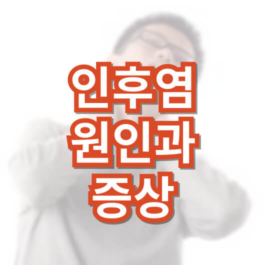 목 통증-인후염-원인과-증상