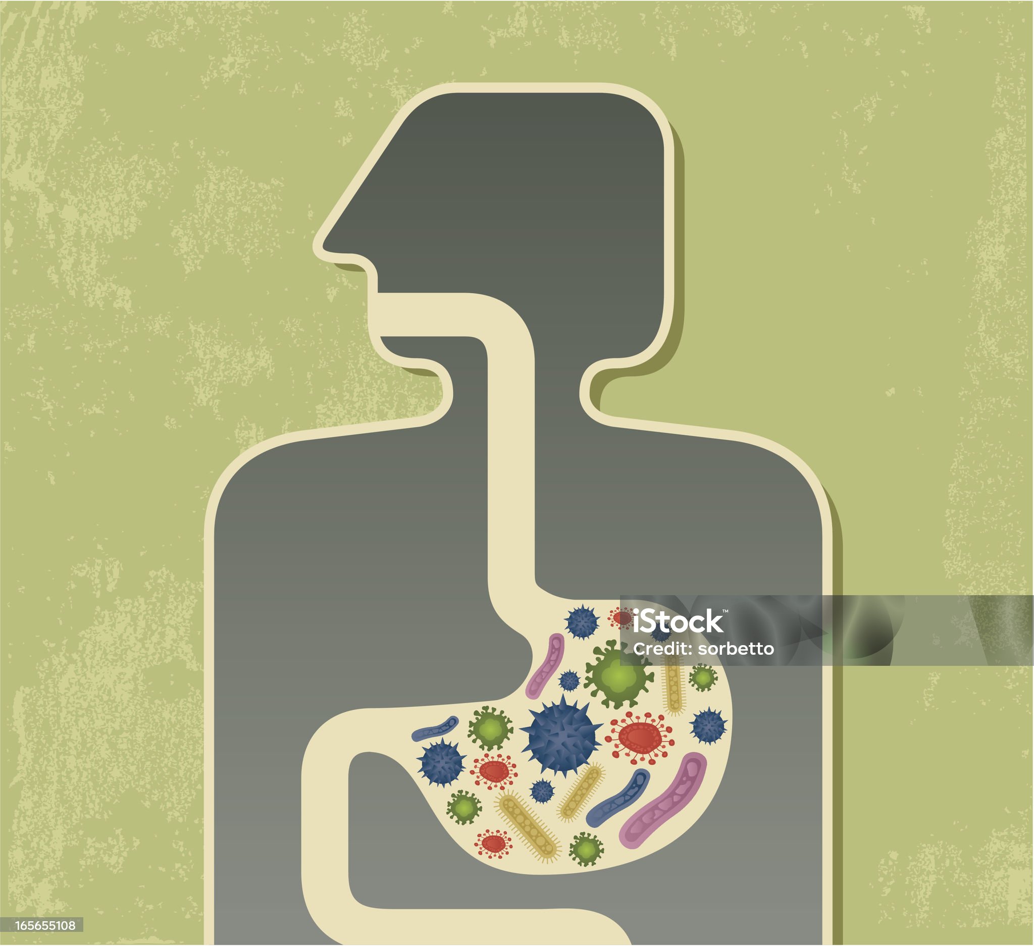 굴, 노로바이러스, 노로, 석화, 생굴, 장, 구토, 설사, 복통, 미열, 두통, 탈수
