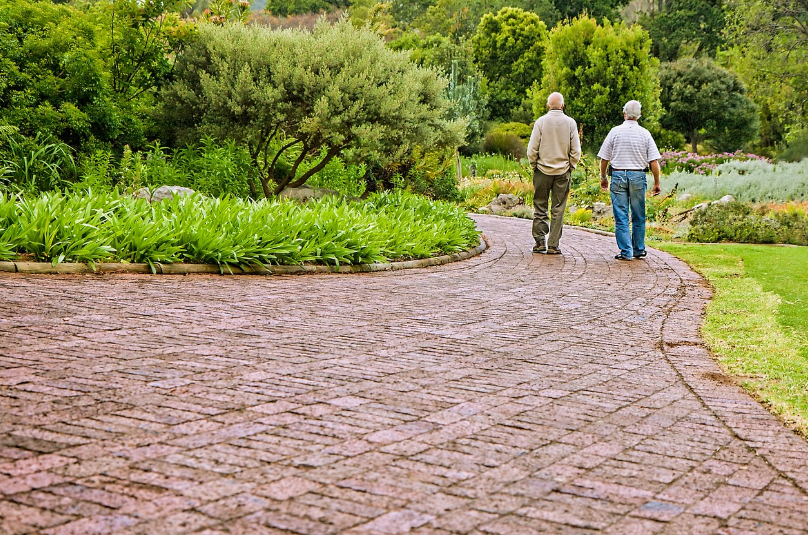 걷기의 힘 관련 사진
