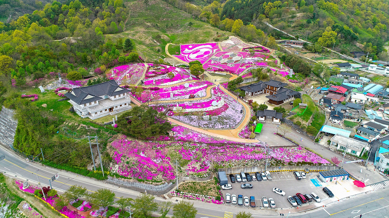 산청 꽃잔디 축제 4/14(일)~4/28(일) 4년만에 다시 개최