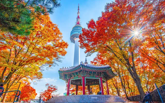 서울 지하철노선도 크게보기_1