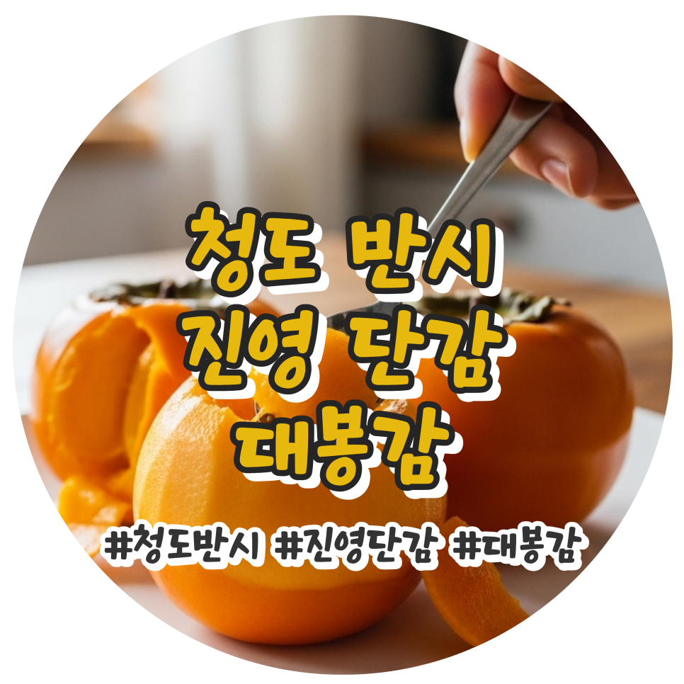 청도 반시 진영 단감 대봉감 홍시 연시 한 번에 비교 고당도 특품 대과