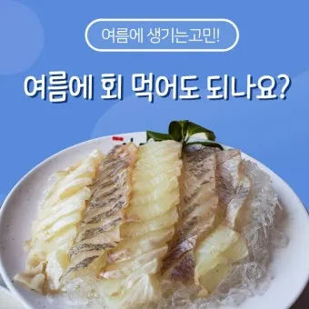 여름 회 추천과 여름철 횟감 여름 제철 회와 생선 정보_2