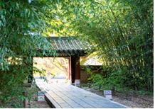 Jeon-ju