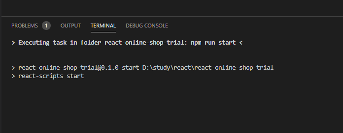 npm start