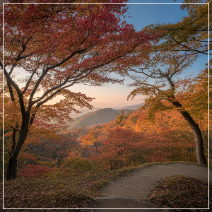 2025년 단풍 절정 시기 – 강원권 단풍 명소 가상 이미지