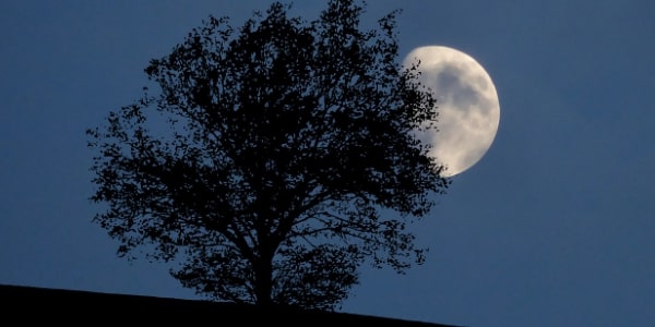 아이폰&amp;#44; 갤럭시로 달 사진 찍는 방법 포스팅 관련 이미지