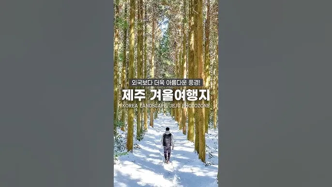 걷기 좋은 명품 숲길 50선 전국 서울 경기_6