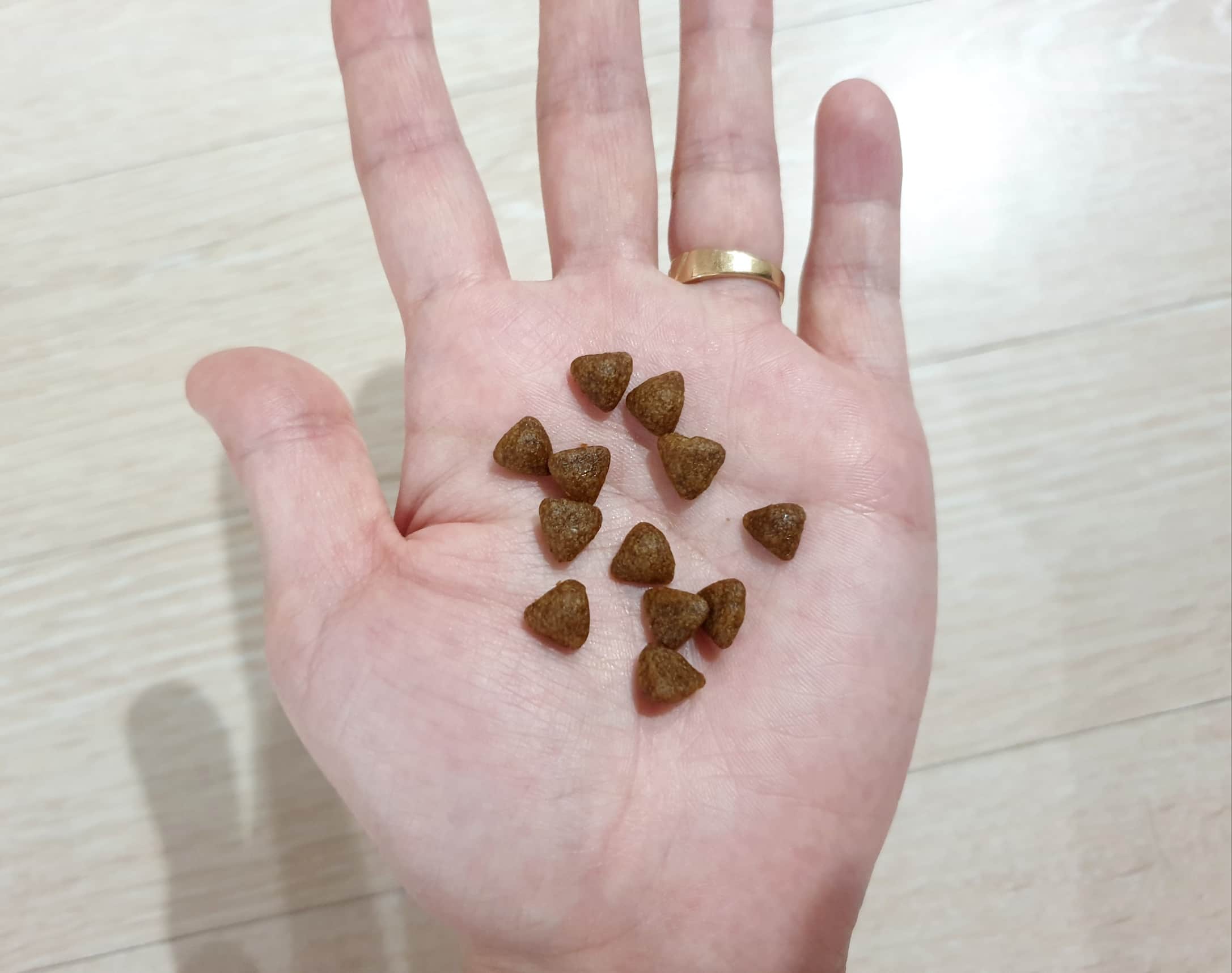 사료 알갱이 사이즈