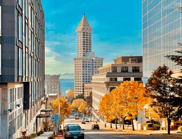 시애틀 여행&amp;#44; 이제 에메랄드 AI에게 물어보세요