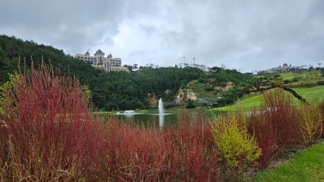 골프장 경험담 서산 서산수cc 동양의 신비스러움이 느껴지는 한국의 페블비치 cc