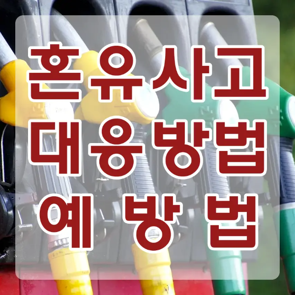 혼유사고-
노랑색, 초록색 주유기 위 흐린 네모안 붉은글씨 혼유사고 대응방법 예방법