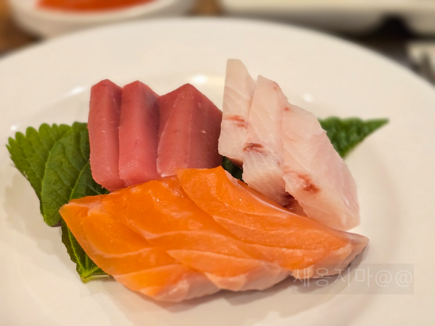 즉석-사시미-연어