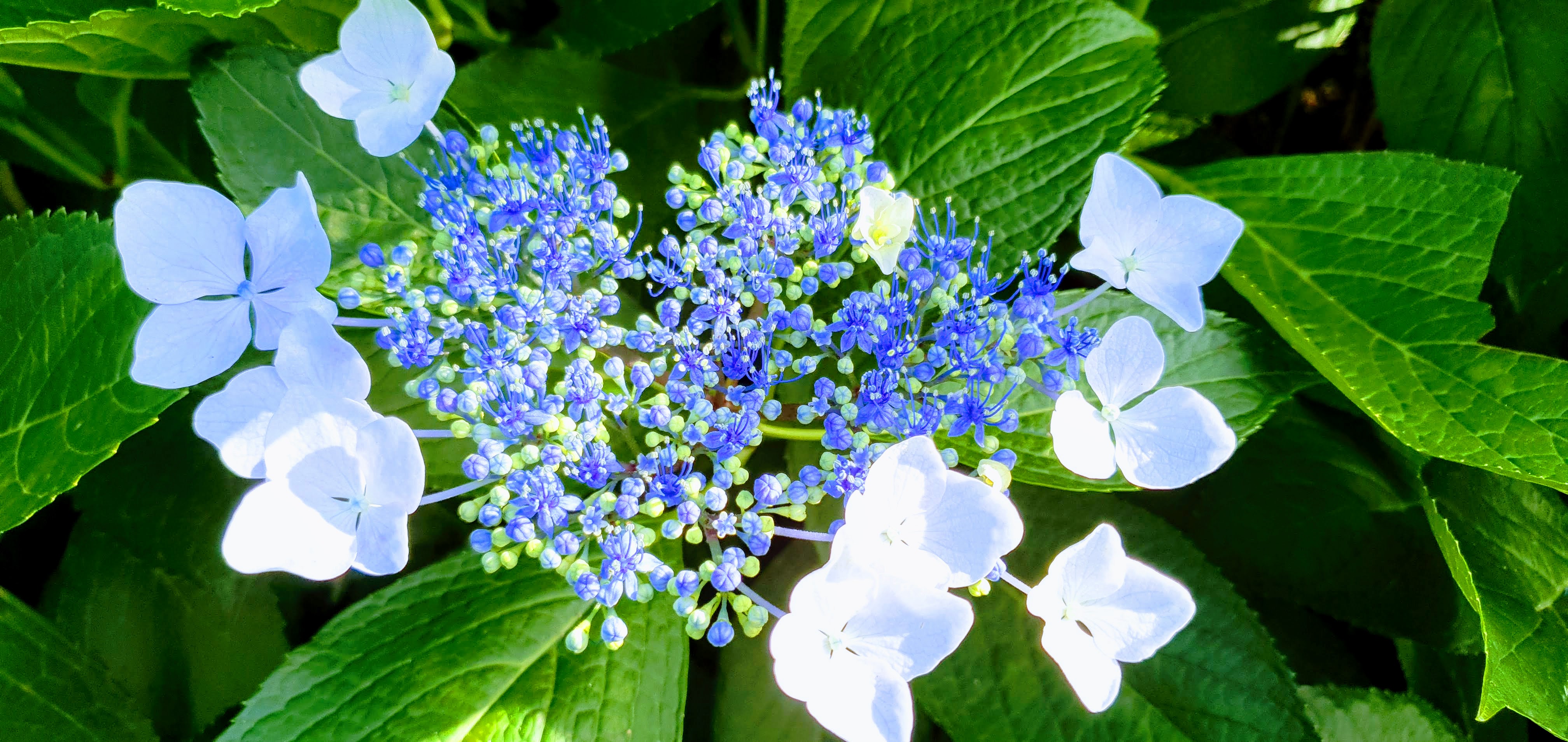 전라도 수목원 숙소