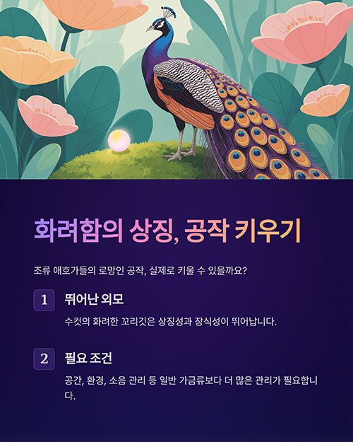 공작 키우기, 가능할까? 사육 가이드