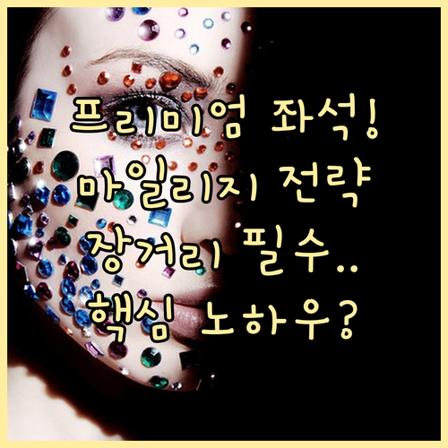프리미엄 좌석 노리기 장거리 마일리지..