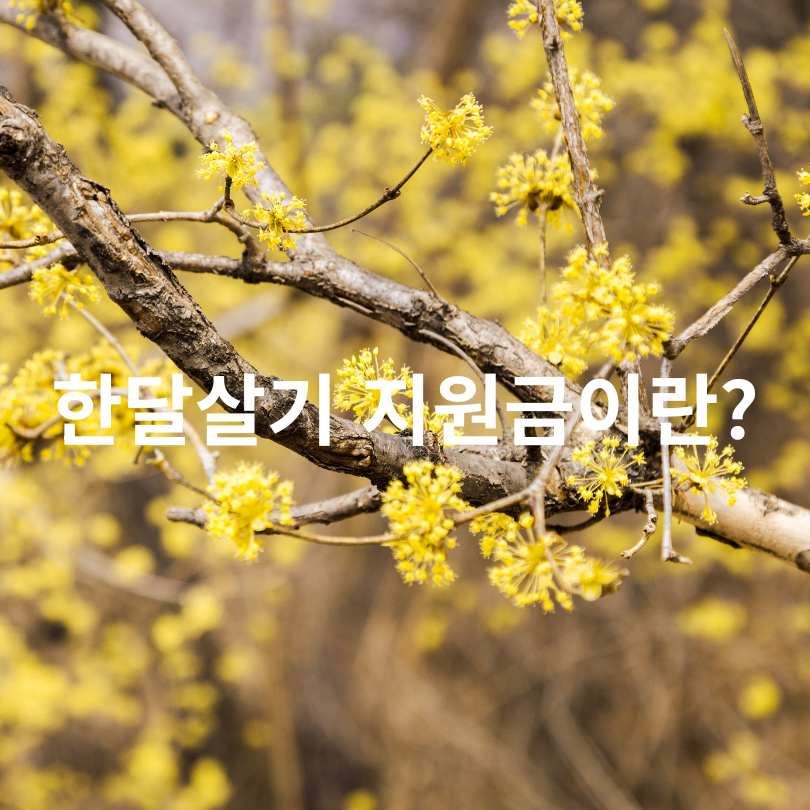 지자체 여행지원금