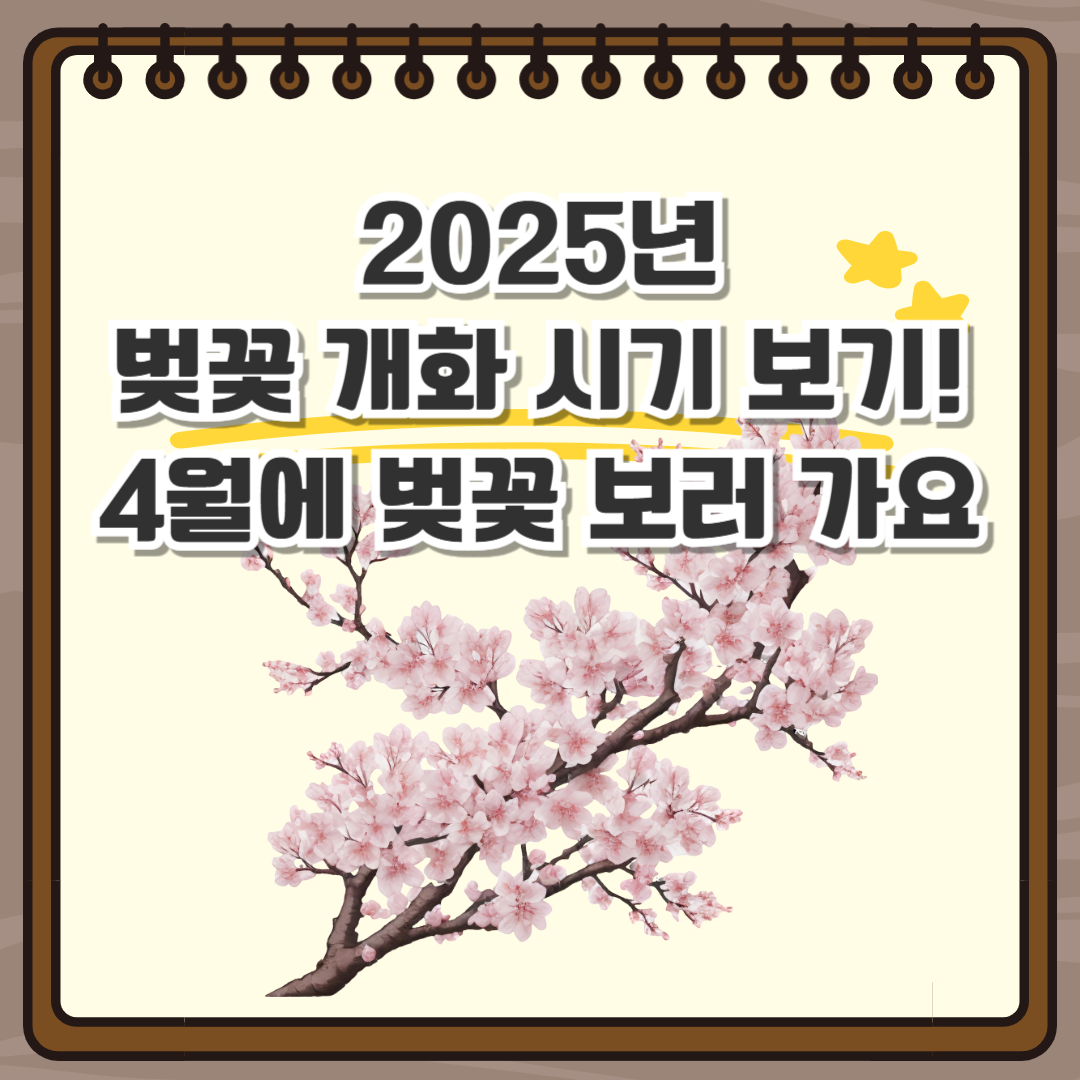 벚꽃 만개