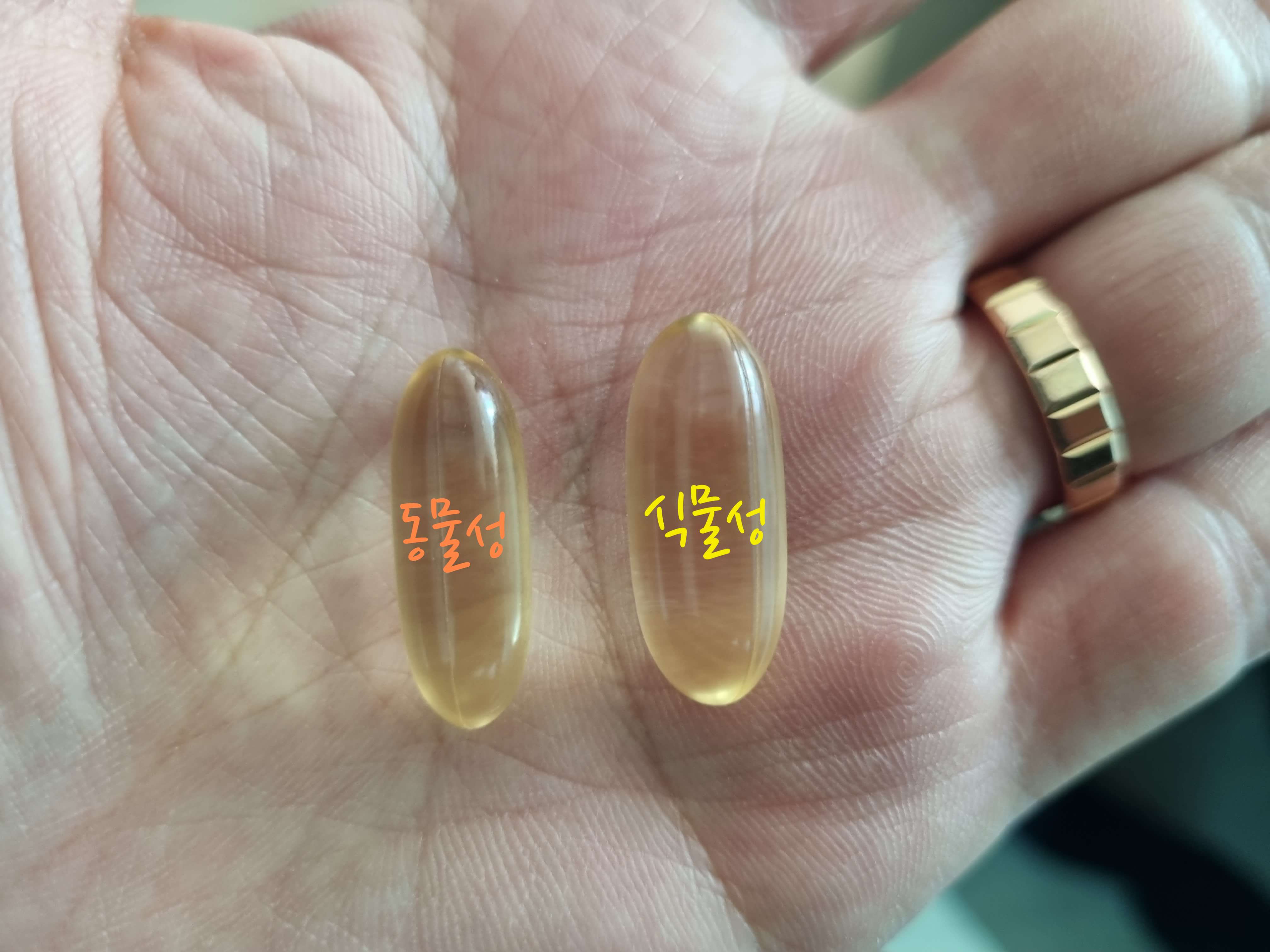 오메가3 동물성 식물성