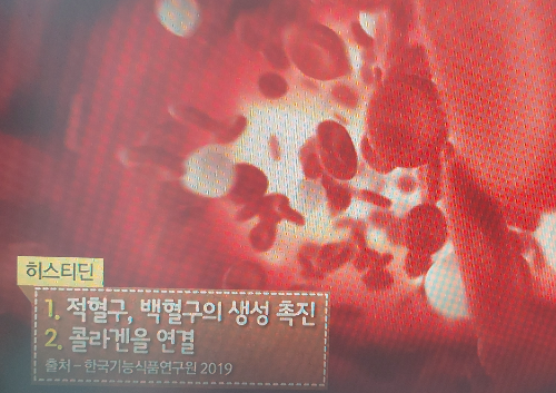 양태반 효능