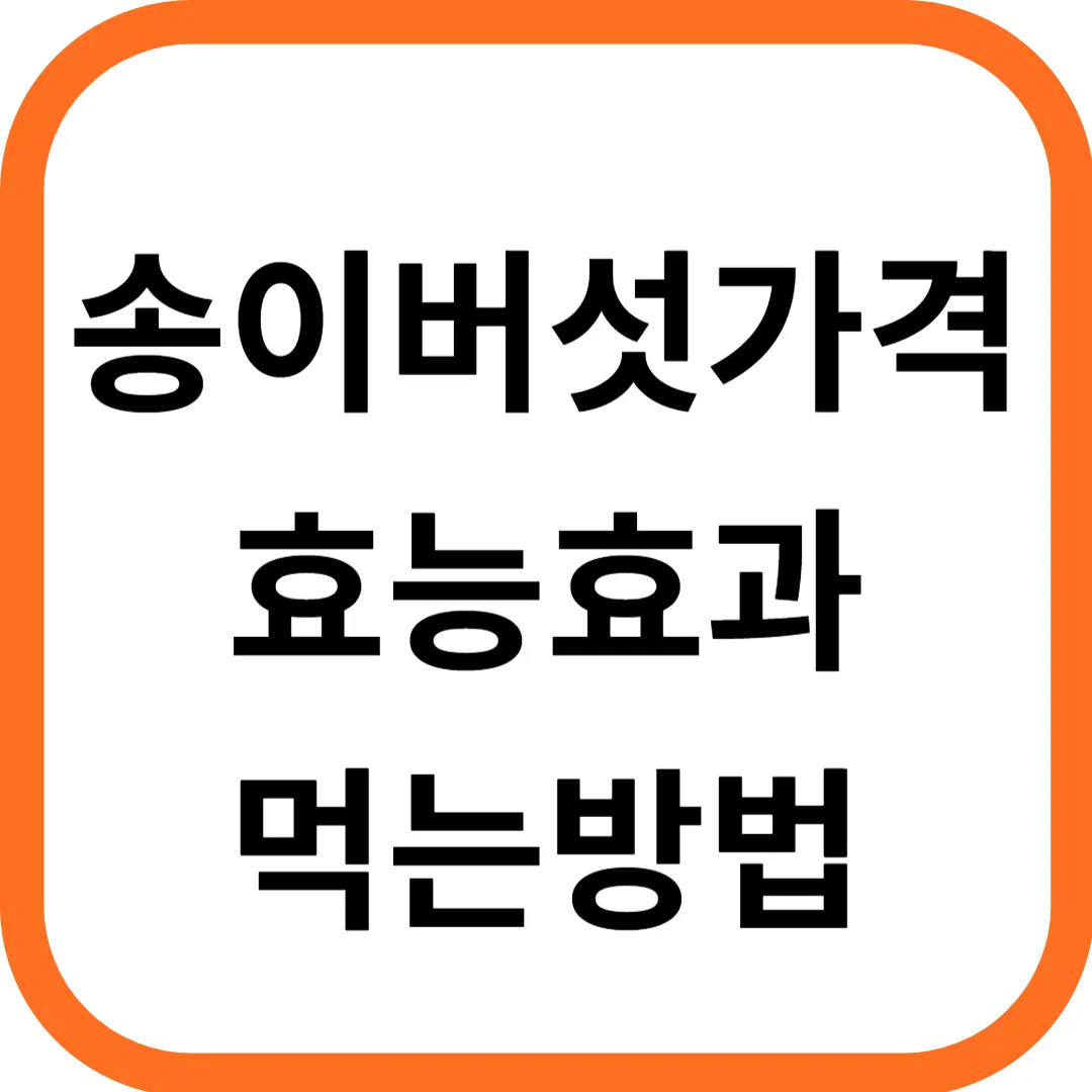 송이버섯 가격 및 효능 효과 먹는방법