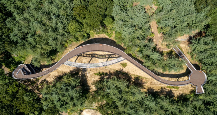 보령 무궁화수목원