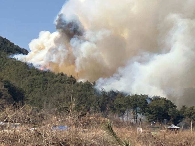 산불이 발생하여 연기가 발생하는 사진