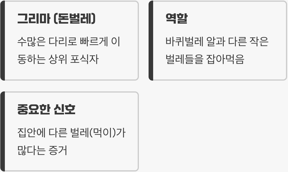 다른 벌레를 사냥하는 추격자, '그리마'