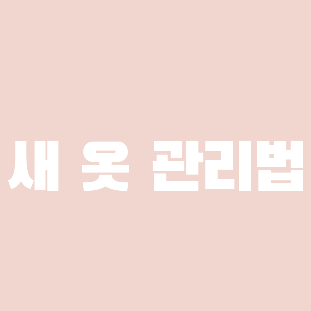 새 옷 관리법